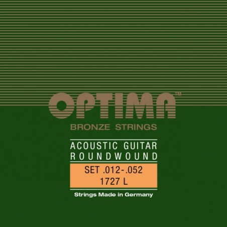 BRONZE ACOUSTICS Guitar Satz light