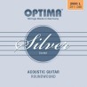 SILVER ACOUSTICS Guitar Set L