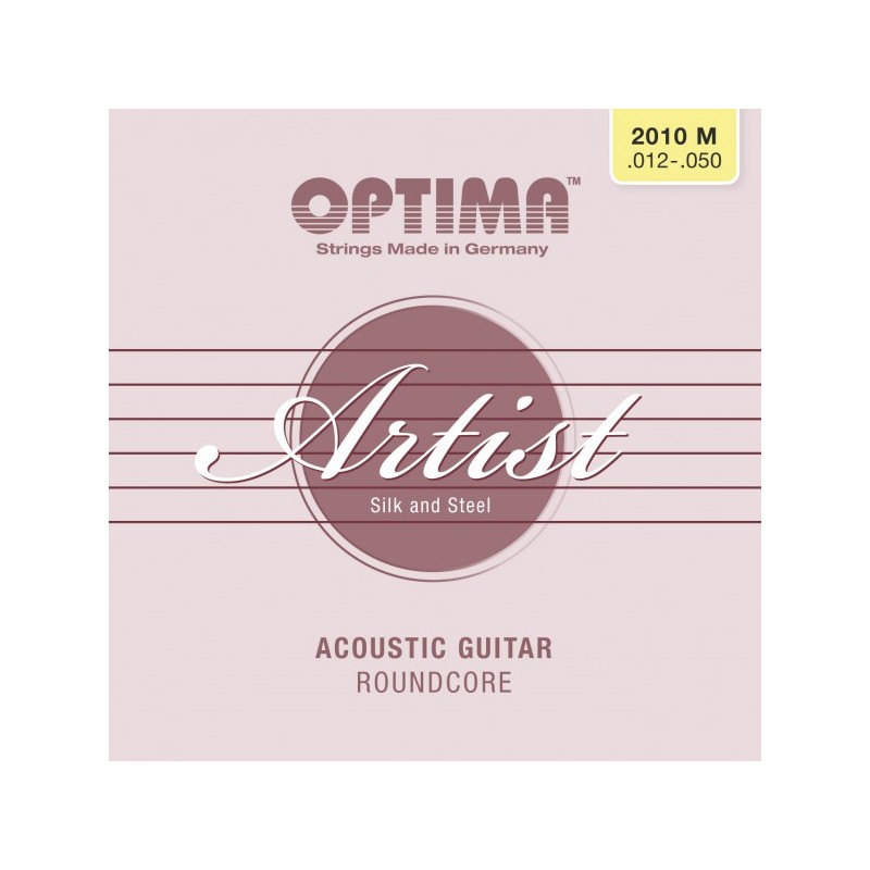 ARTIST ACOUSTICS Guitar Satz M