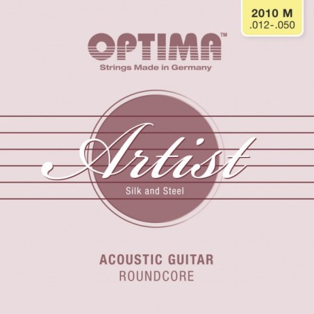 ARTIST ACOUSTICS Guitar Satz M