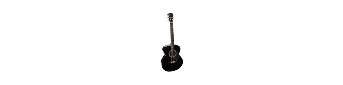 Acoustic Guitars