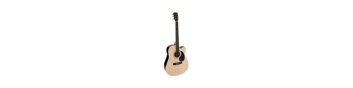 Electracoustic Guitars