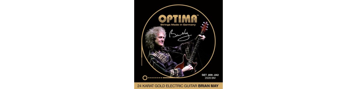 Electric Guitar