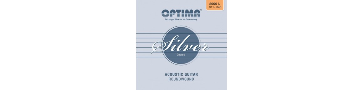 Acoustic Guitar